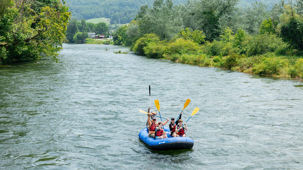 Four people enjoy white water rafting, paddling together amidst lush trees and greenery.