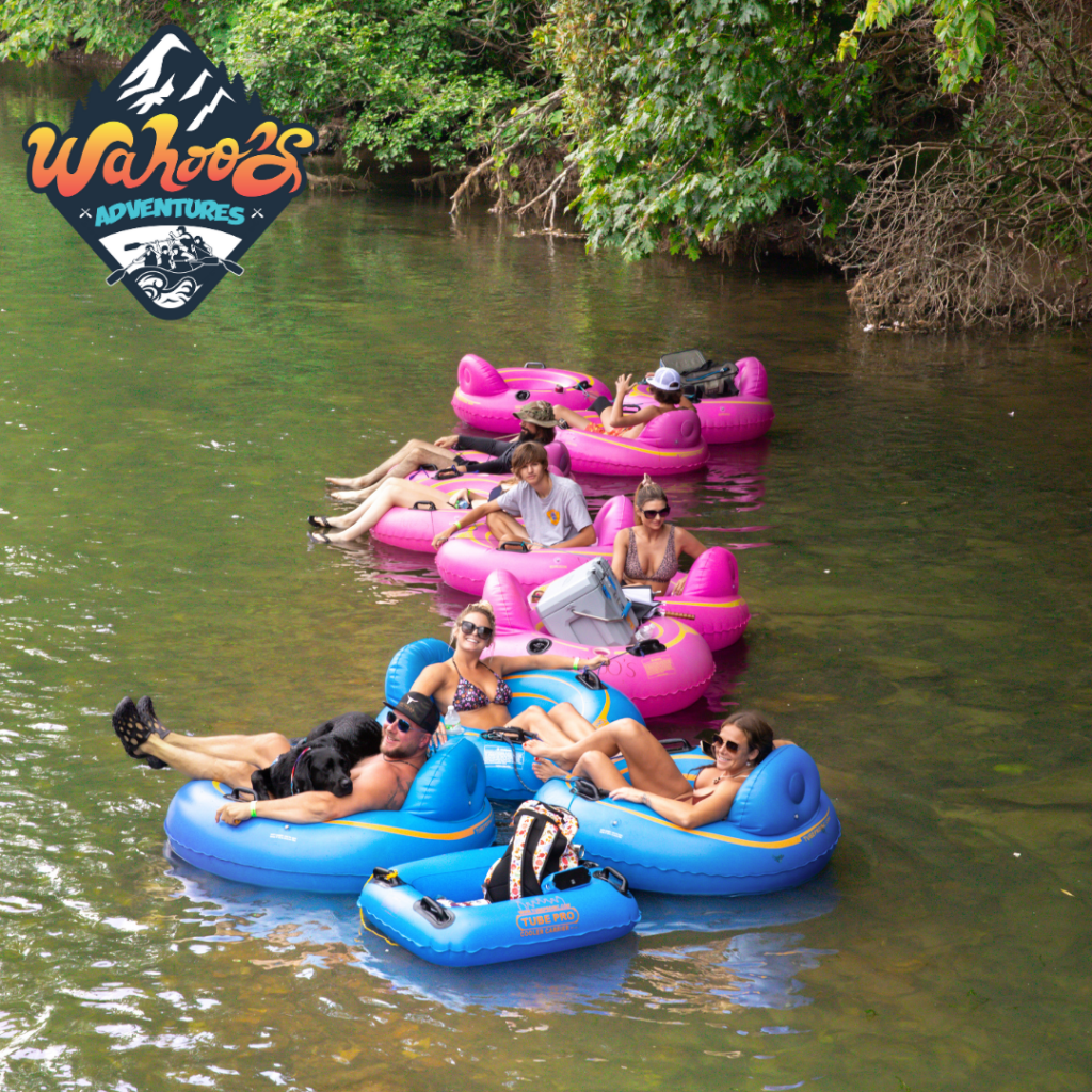 People relaxing on pink and blue inflatable tubes in a river, surrounded by greenery.