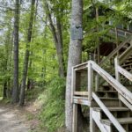 Wooden stairs lead to a cozy cabin in the trees—Treehouse Cabins Near Boone NC.