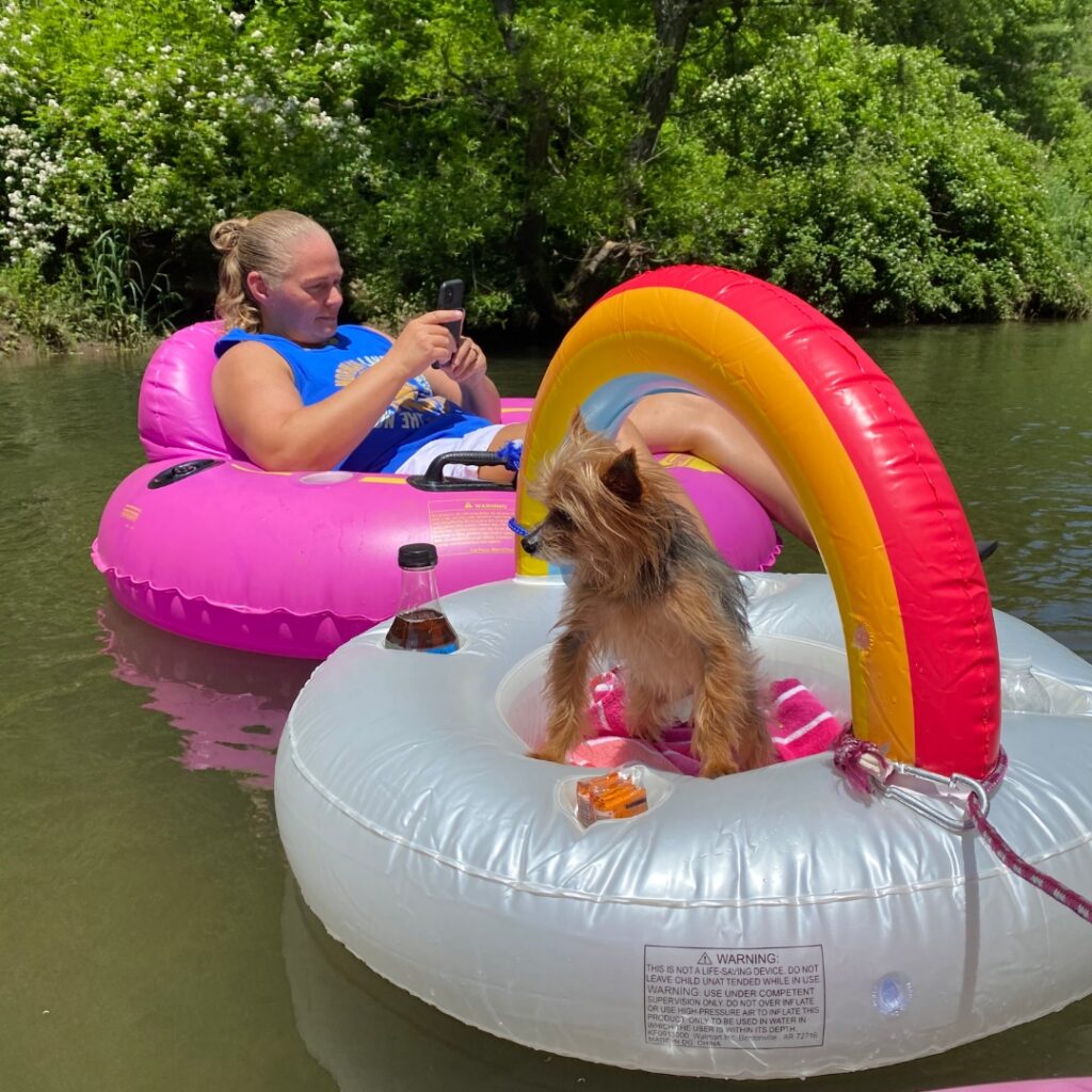 A woman on a pink float and a small dog on a rainbow float relax on a river.